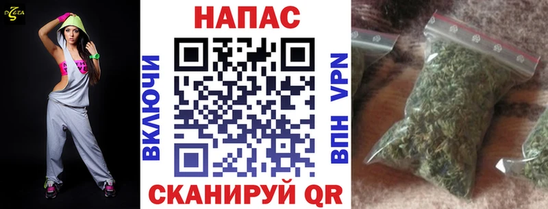 Купить  Дмитровск  Каннабис сатива 